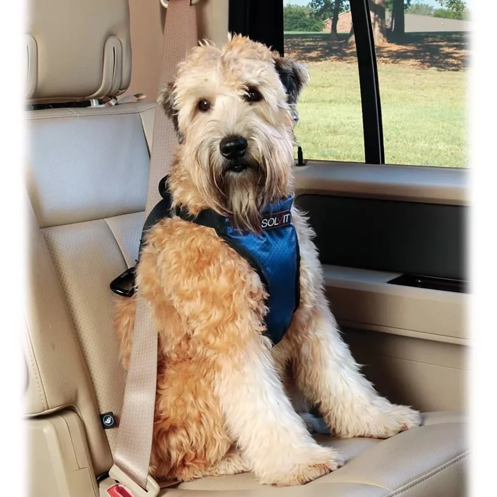 💕NWT Dog Car Harness